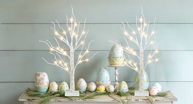 EAMBRITE Home Decorations Light Up White Birch Tree Indoor Christmas Decor