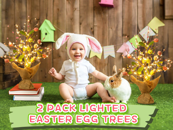 EAMBRITE Easter Decorations Easter Egg Tree with Lights