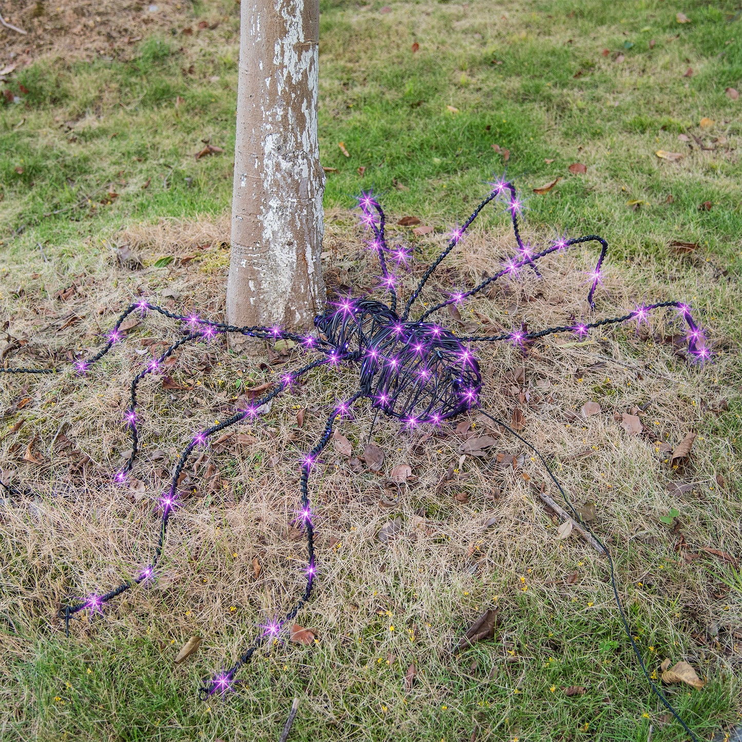 EAMBRITE 5FT Halloween Giant Spider, Light Up Spider Outdoor with 84 LED Purple Lights