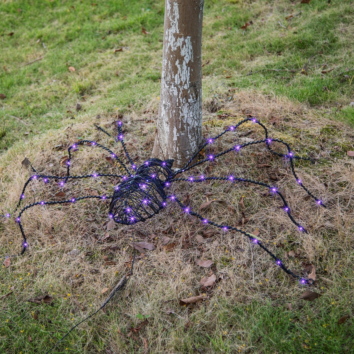 EAMBRITE 5FT Halloween Giant Spider, Light Up Spider Outdoor with 84 LED Purple Lights