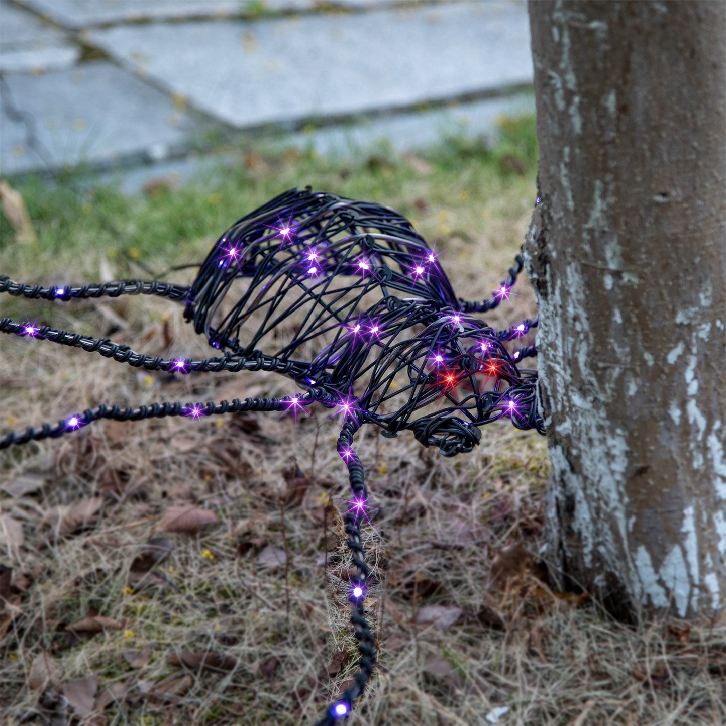 EAMBRITE 5FT Halloween Giant Spider, Light Up Spider Outdoor with 84 LED Purple Lights