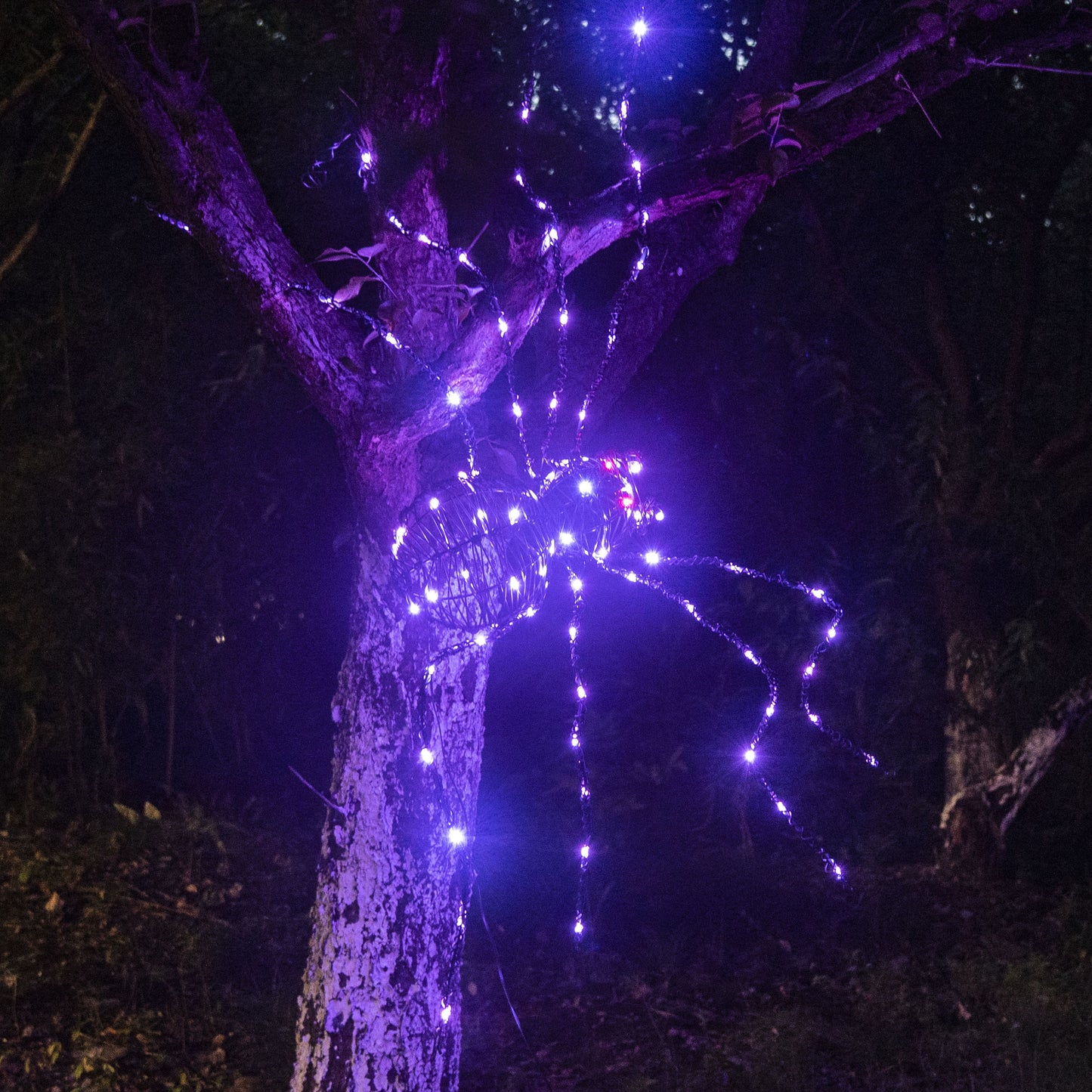 EAMBRITE 5FT Halloween Giant Spider, Light Up Spider Outdoor with 84 LED Purple Lights