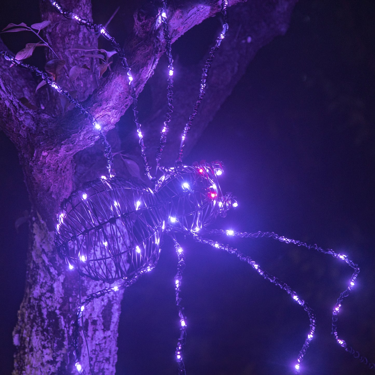 EAMBRITE 5FT Halloween Giant Spider, Light Up Spider Outdoor with 84 LED Purple Lights