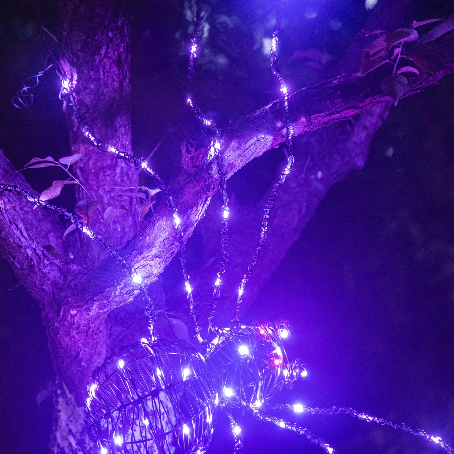 EAMBRITE 5FT Halloween Giant Spider, Light Up Spider Outdoor with 84 LED Purple Lights