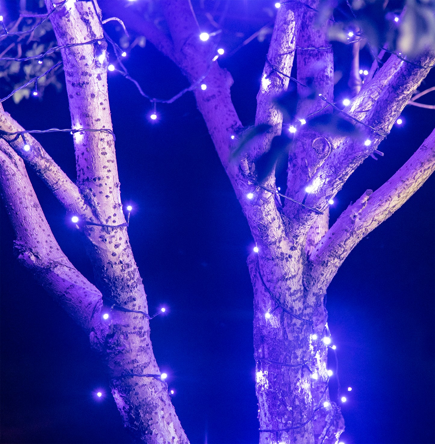 EAMBRITE Halloween Decorations 200 LED Halloween String Lights with Spooky Music
