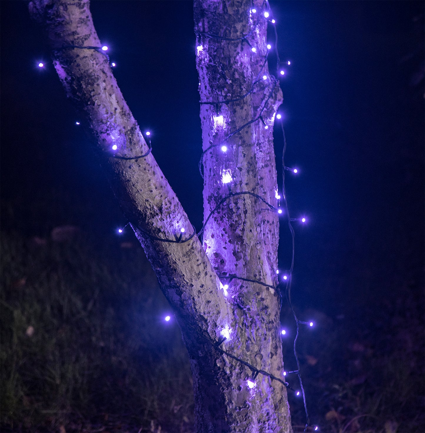 EAMBRITE Halloween Decorations 200 LED Halloween String Lights with Spooky Music