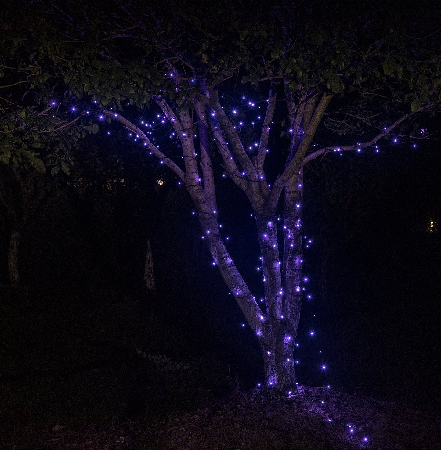 EAMBRITE Halloween Decorations 200 LED Halloween String Lights with Spooky Music