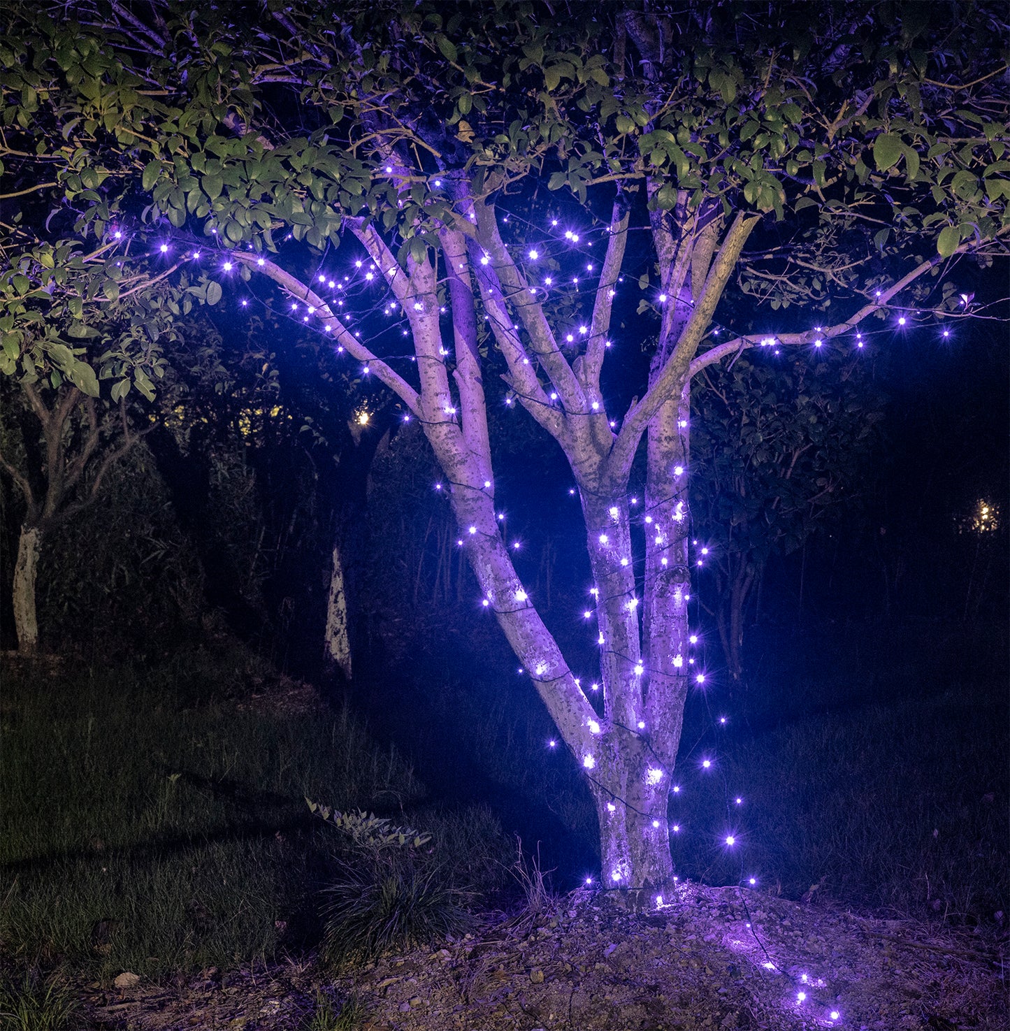 EAMBRITE Halloween Decorations 200 LED Halloween String Lights with Spooky Music