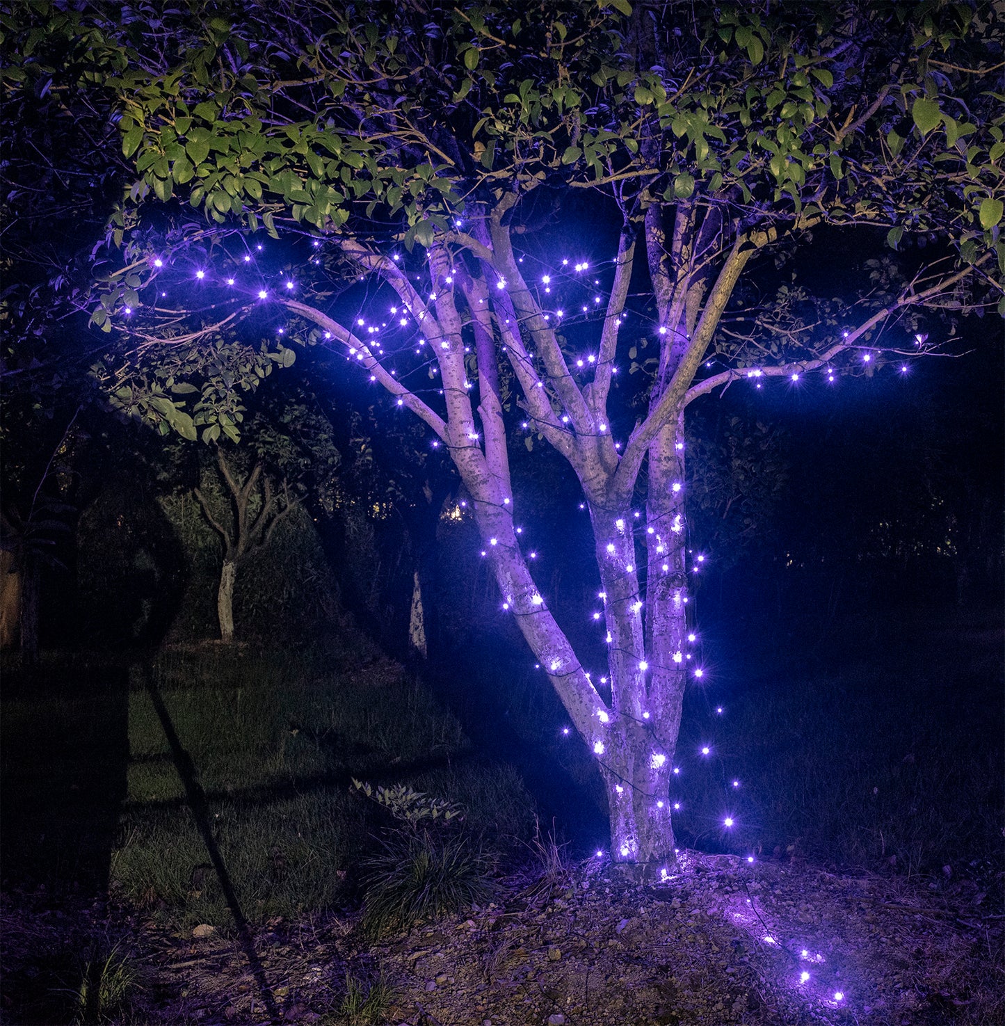 EAMBRITE Halloween Decorations 200 LED Halloween String Lights with Spooky Music