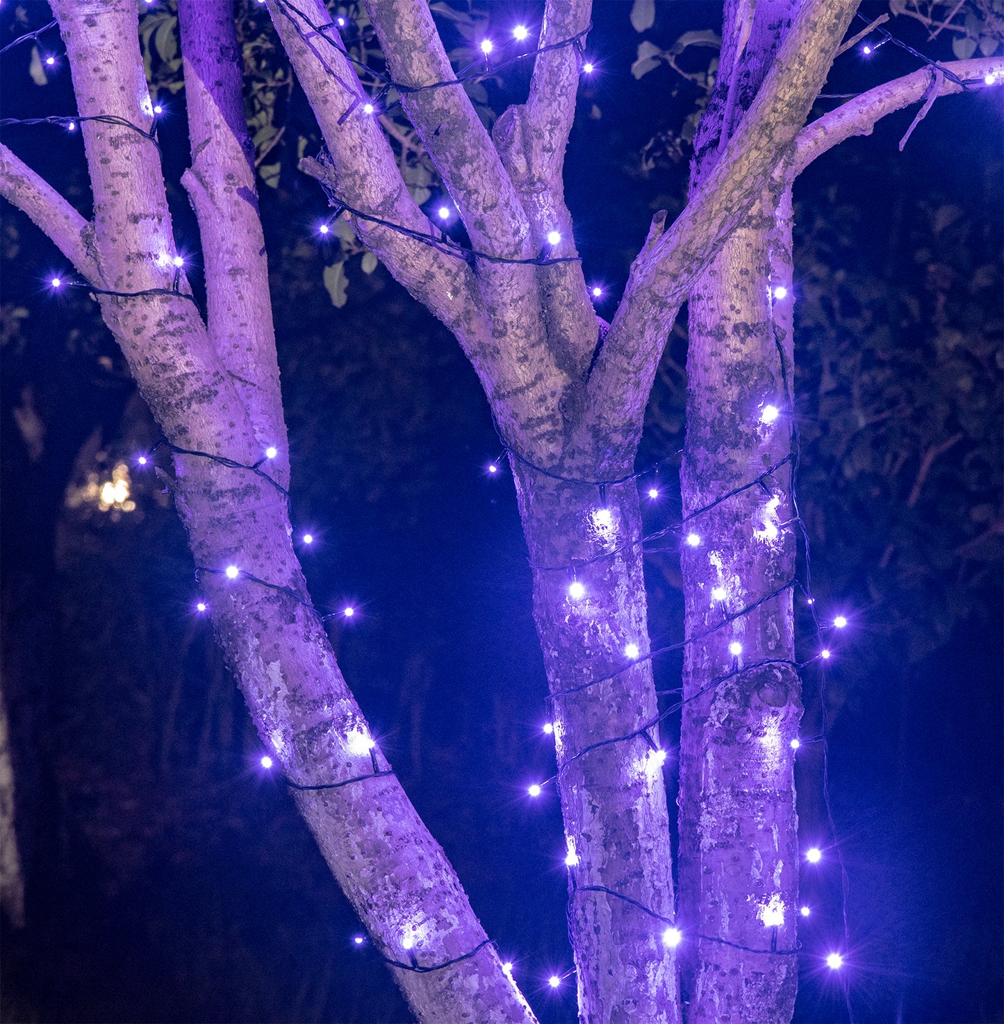EAMBRITE Halloween Decorations 200 LED Halloween String Lights with Spooky Music