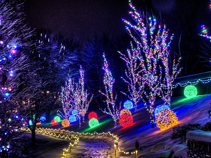 EAMBRITE Christmas Lights Outdoor 82Ft 200LT Christmas Lights with Cheerful Music(Multi-Color)