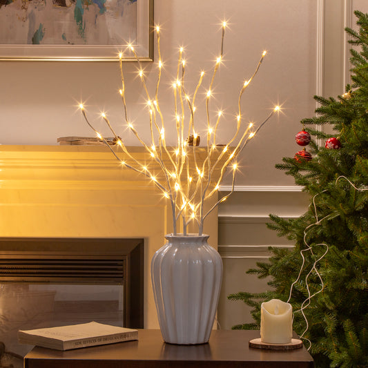 EAMBRITE Lighted White Branches 30IN 60 LED