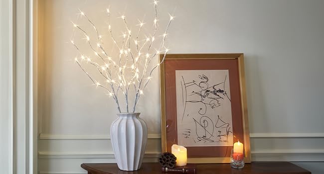 EAMBRITE Pre Lit White Birch Twig Branch Lights