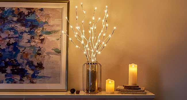 EAMBRITE Pre Lit White Birch Twig Branch Lights