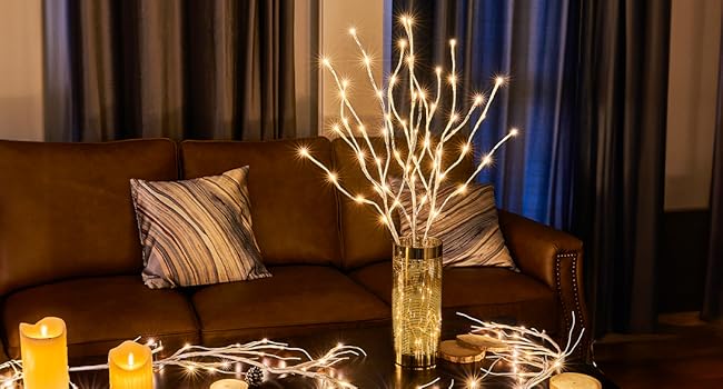 EAMBRITE Pre Lit White Birch Twig Branch Lights