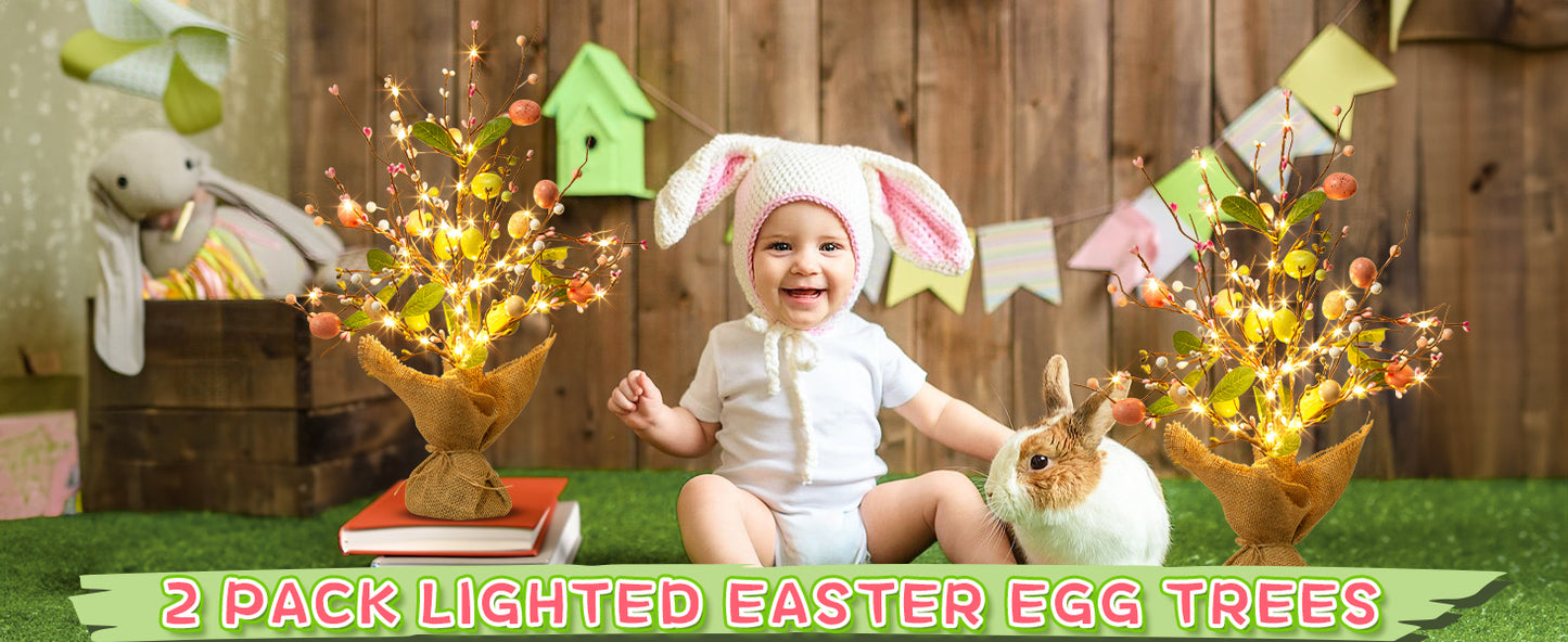 EAMBRITE Easter Decorations Easter Egg Tree with Lights