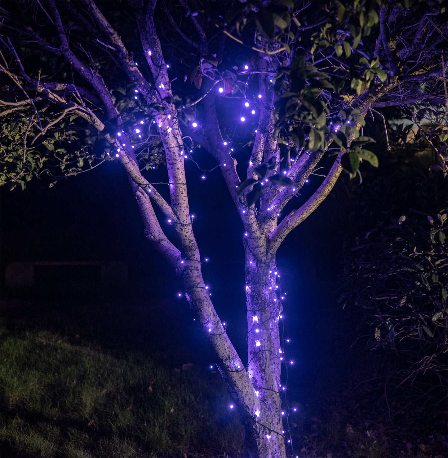 EAMBRITE Halloween Decorations 200 LED Halloween String Lights with Spooky Music
