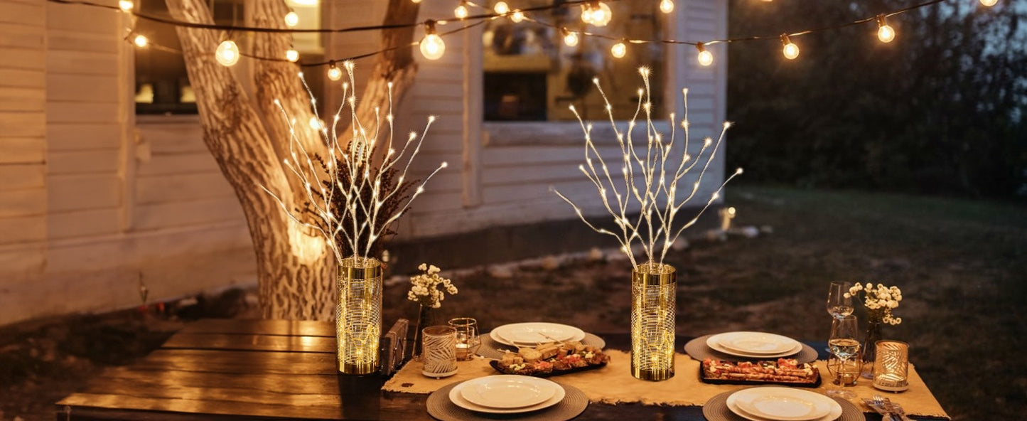 EAMBRITE Pre Lit White Birch Twig Branch Lights