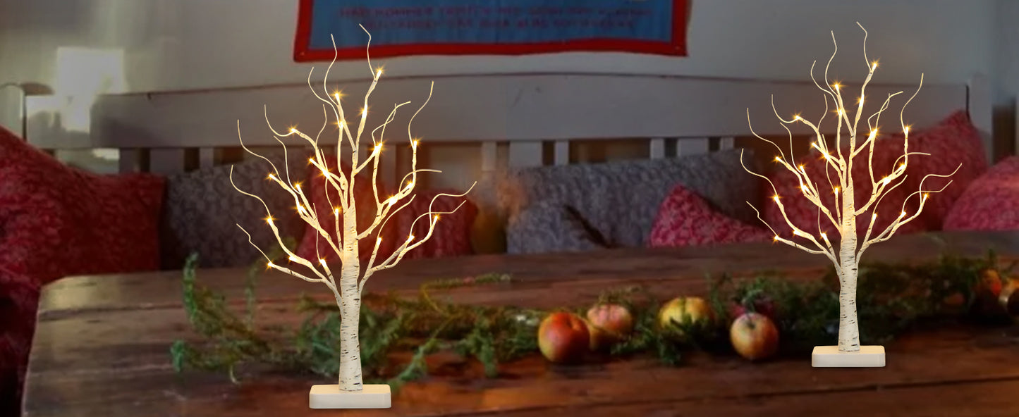 EAMBRITE Birch Tree with LED Lights for Christmas Decorations Indoor Lighted Tabletop Tree